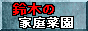 鈴木の家庭菜園