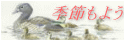 季節もよう