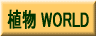 植物WORLD