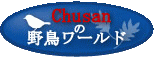 chusanの野鳥ワールド